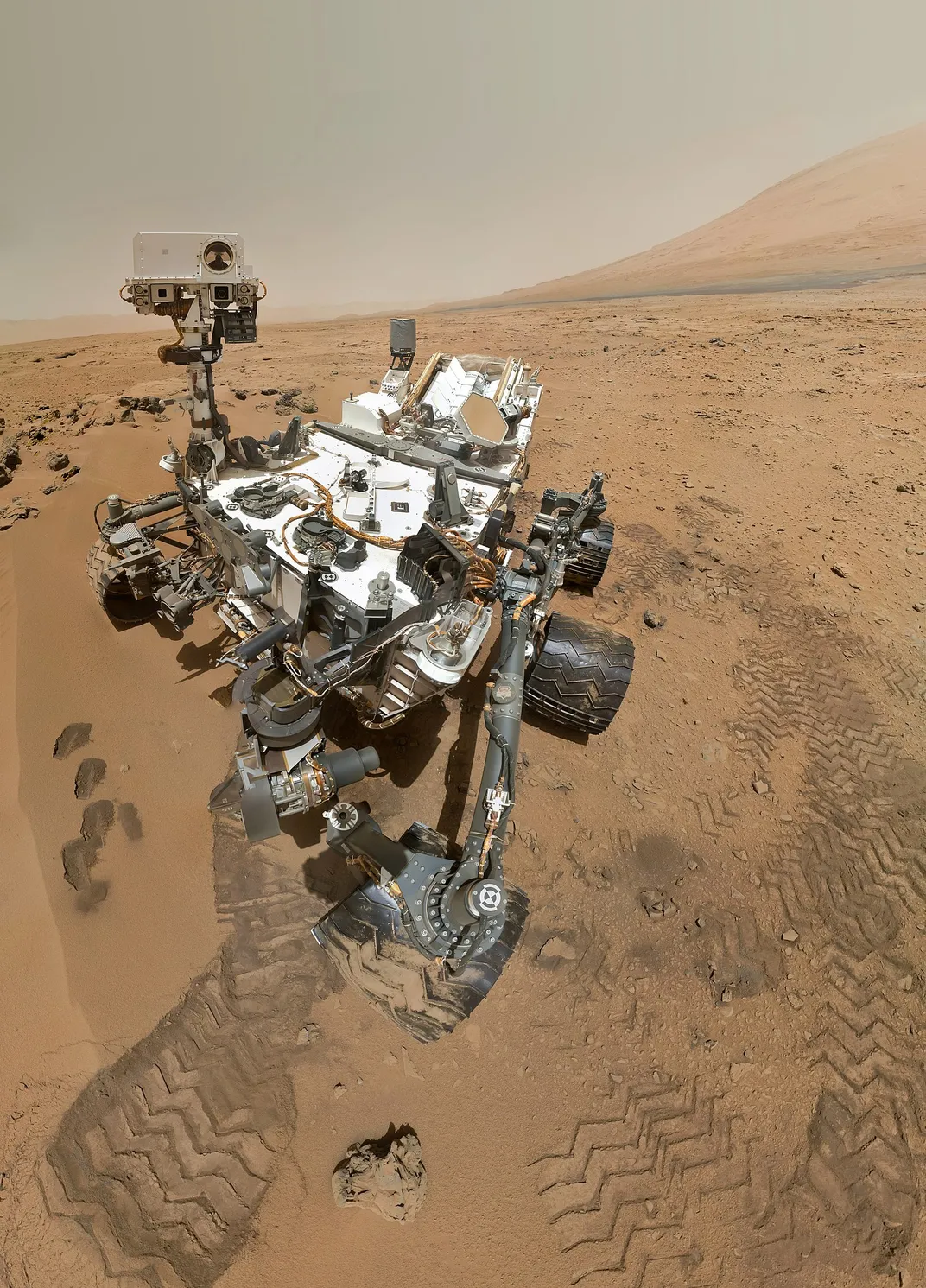 Curiosity selfie