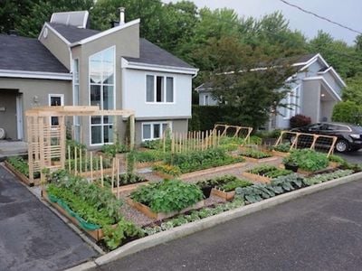 The offending garden in Drummondville