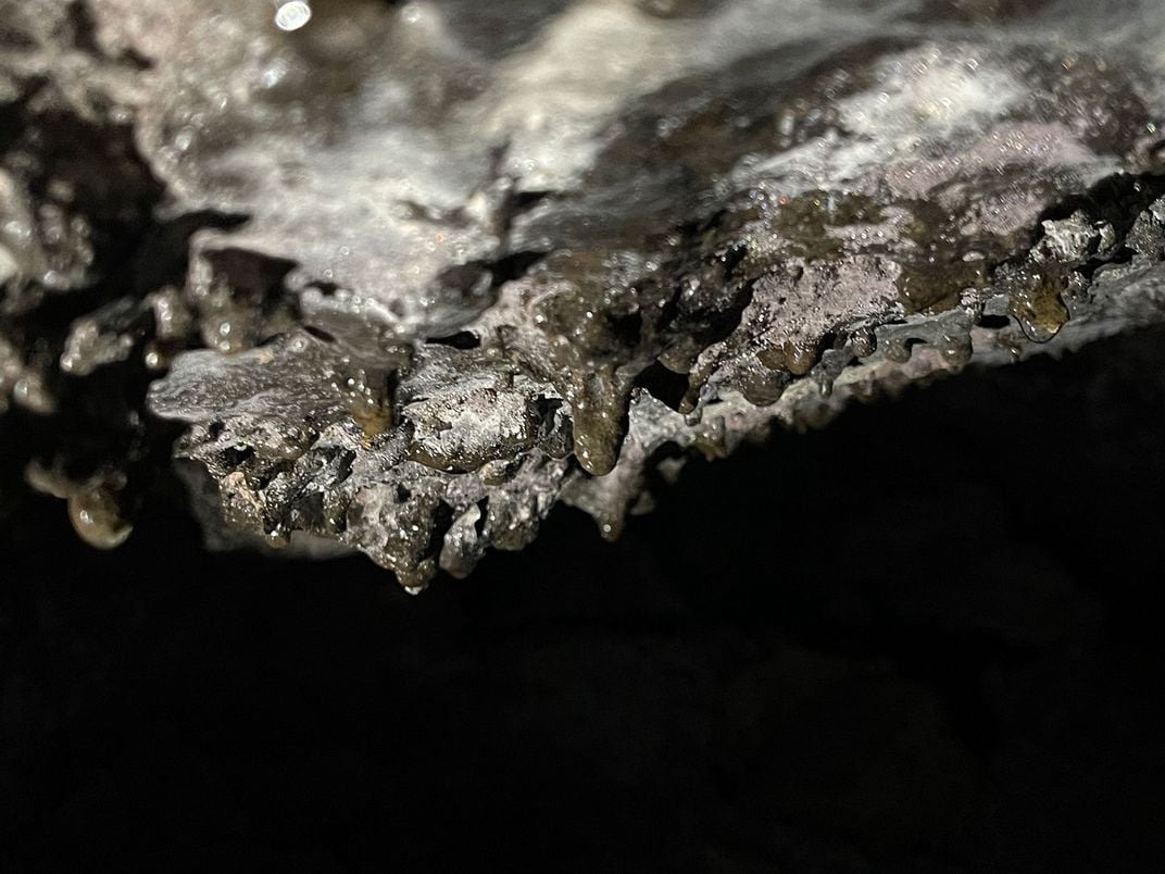 Auckland Cave Ceiling