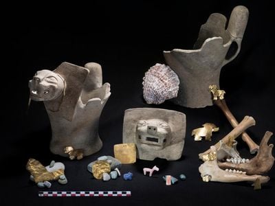 Typical Tiwanaku-period offerings at Khoa Reef in Lake Titicaca, Bolivia, including stone carvings and sacrificial animal bones. 