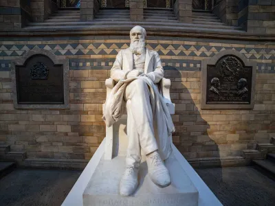 A statue of Charles Darwin sits in the Natural History Museum in London. The scientist's book 'Descent of Man' was published in 1871.