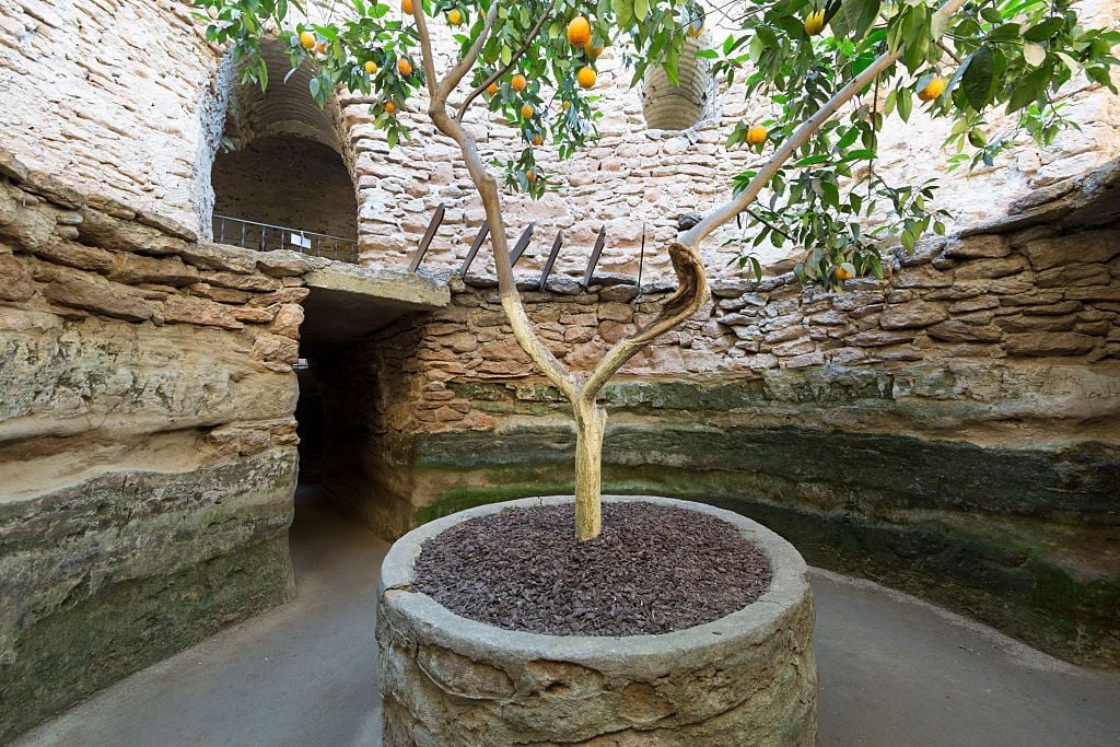 Forestiere Underground Gardens in California