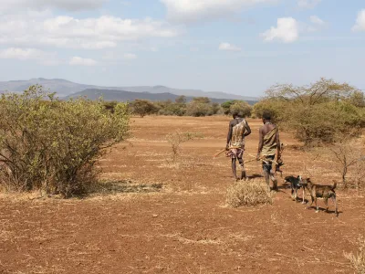 Two Hadza men in Tanzania carry bows and their catch.