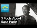 Preview thumbnail for video '5 Surprising Facts About Rosa Parks