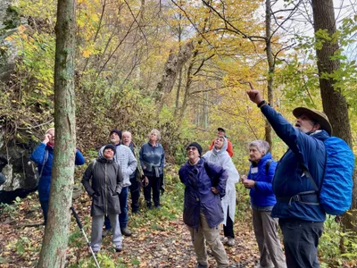 A group of hikers surrounded by trees on a trail look up as a tour leader points something out